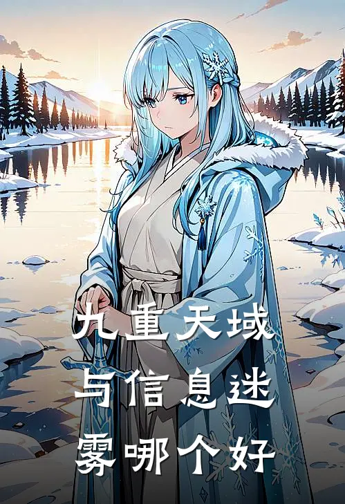 九重天域与信息迷雾哪个好