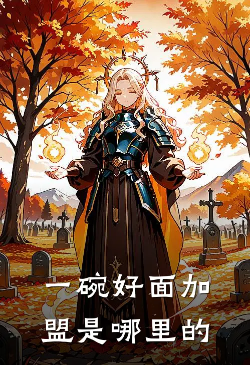 一碗好面加盟是哪里的